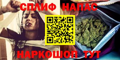 гашик Краснознаменск