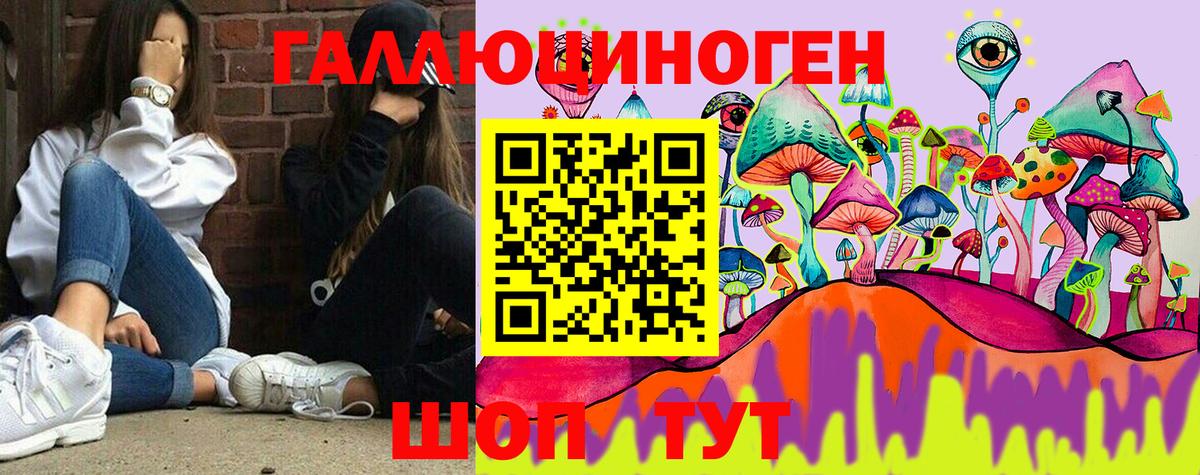 Канаш  купить наркоту  Псилоцибиновые грибы Psilocybe  Вход с VPN  Галлюциногенные грибы Psilocybe 